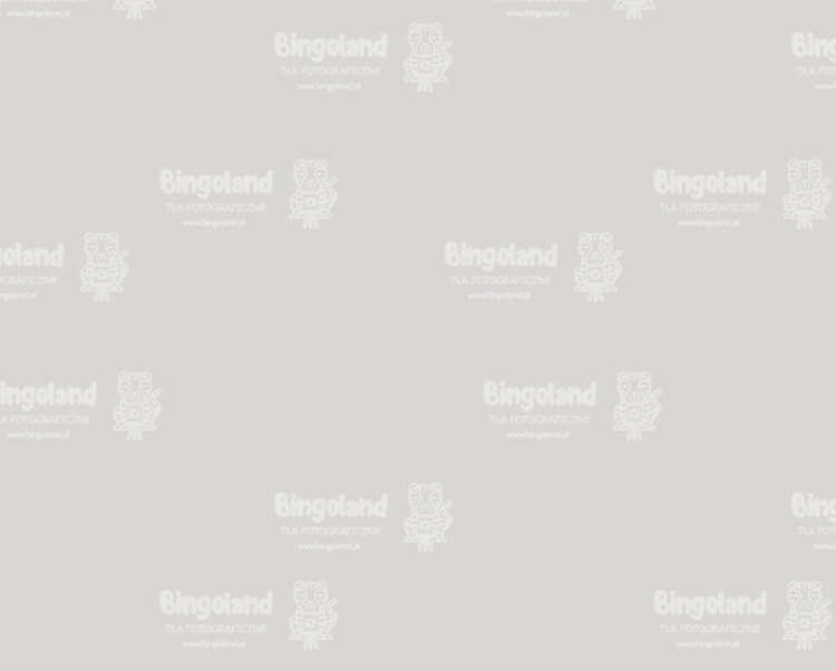 podloga.webp