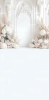 249x500.webp