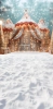 249x500.webp