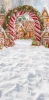 249x500.webp
