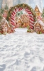 swiateczne-tlo-fotograficzne-piernikowa-wioska-Z696.webp