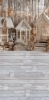 249x500.webp