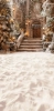 249x500.webp