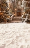 zimowa-bajkowa-sceneria-swiateczne-tlo-fotograficzne-Z703.webp