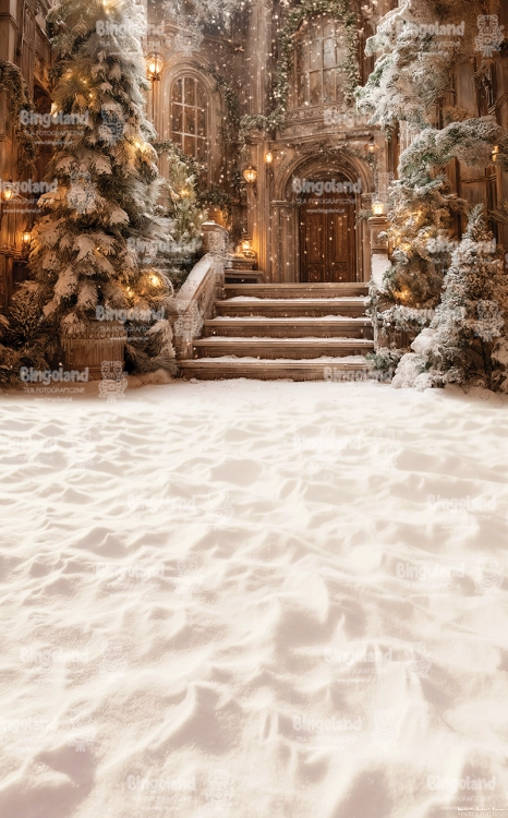 zimowa-bajkowa-sceneria-swiateczne-tlo-fotograficzne-Z703.webp