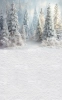249x400.webp