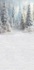 249x500.webp
