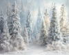 zimowe-tlo-fotograficzne-lesna-sceneria-sniezne-choinki-Z710.webp