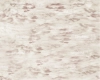 snig.webp