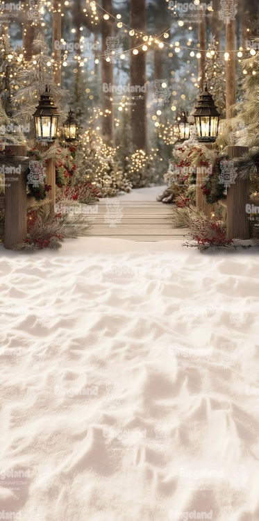 249x500.webp