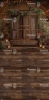 249x500.webp