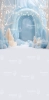 249x500.webp