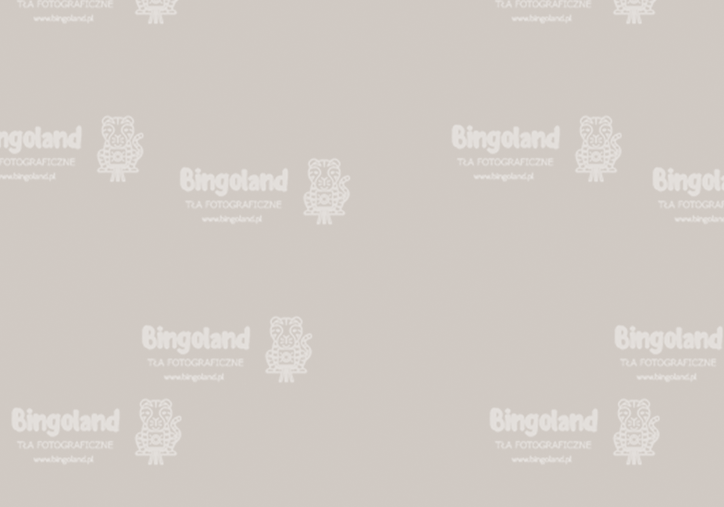 podloga.webp
