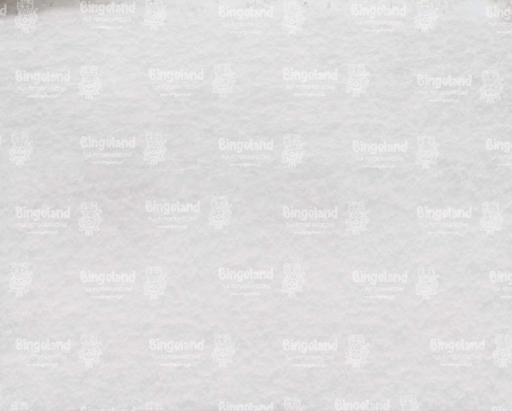 tlo_fotograficzne Z741 podloga.webp