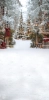 249x500.webp