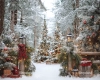 249x200.webp