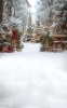 tlo-fotograficzne-zimowy-las-swiateczne-choinki-latarenki-Z740.webp