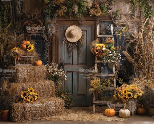 249x200.webp