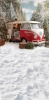 249x500.webp