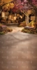 tlo_fotograficzne CL1718 200x400.webp
