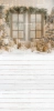 249x500.webp