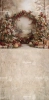249x500.webp