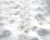 podloga.webp