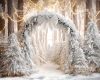 249x200.webp