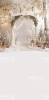 249x500.webp