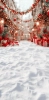249x500.webp