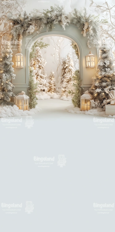 249x500.webp