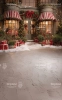 249x400.webp