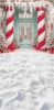 249x500.webp
