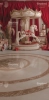249x500.webp