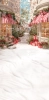 249x500.webp