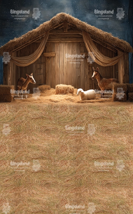 249x400.webp
