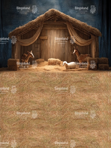 249x200.webp
