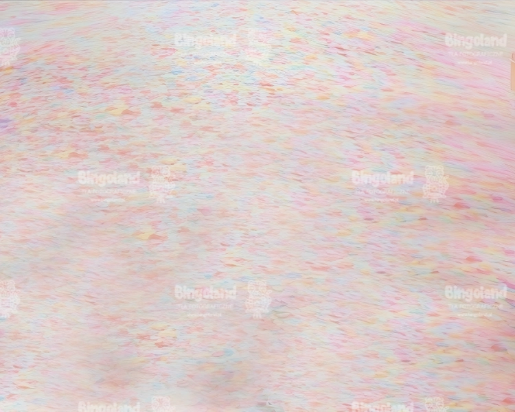 250x200podloga.webp