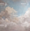 250x250.webp