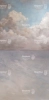 250x500.webp