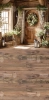 250x500.webp