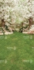 250x500.webp