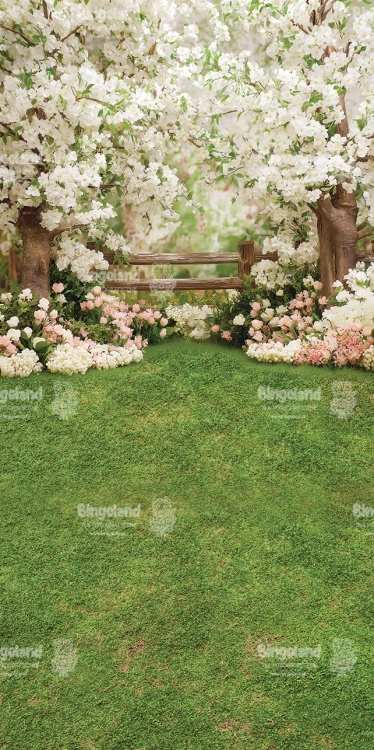 250x500.webp