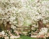 250x200.webp