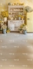 250x500.webp