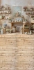 250x500.webp