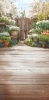 249x500.webp