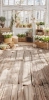 249x500.webp