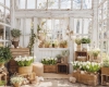 249x200.webp