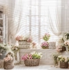 249x249.webp